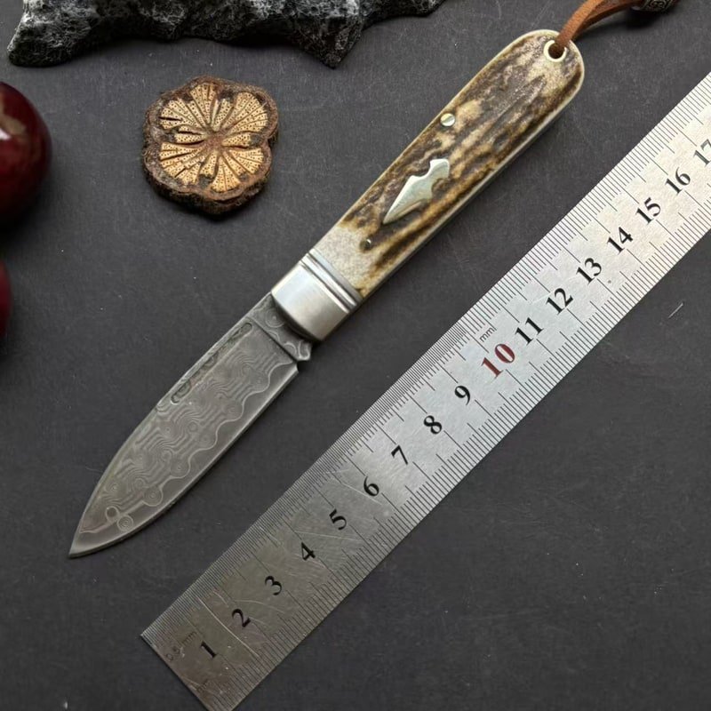 manual-clean-800-127.jpg Classic Handle Outdoor Fixed Blade Knife outdoor knife product image